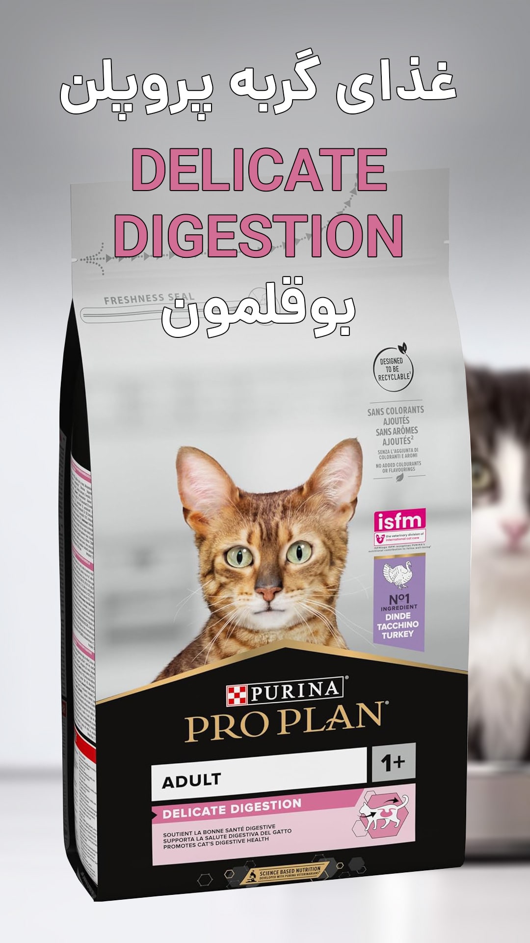 معرفی غذای خشک گربه پروپلن بالغ طعم بوقلمون مدل Delicate